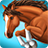 icon ShowJumping 1.3.1385