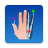 icon e-Anatomy 5.2.2