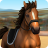 icon ShowJumping 3.7.3143