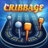 icon Cribbage 2.0.9