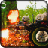 icon Dead Shoot: Zombie Killer 1.0