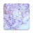 icon Urinemicroscopy 2.0.1