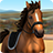 icon ShowJumping 2.1.2405