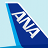 icon ANA 4.1.23