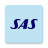 icon SAS 5.13.5
