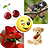 icon Stickers+ 2.1.3