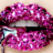 icon Makeup Gamekeup Game 2.24.2