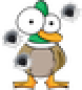 icon com.jeux.chassecanard