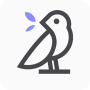 icon Litok