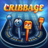 icon Cribbage 2.3.2