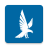 icon Falcon 9.1.0