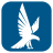 icon Falcon 6.0.5