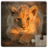 icon Cute Animals 14.0