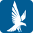 icon Falcon 4.3.1