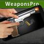 icon Guns Weapons Simulator Game