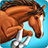 icon ShowJumping 1.3.1345