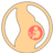 icon com.top_gravidez_uzbekistan.top_gravidez_uzbekistan 310.0.0
