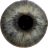 icon Eye Diagnosis 1.4.10
