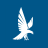 icon Falcon 11.0.0