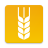 icon LAD 3.0.7