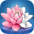 icon Zen Color 1.45.7