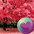 icon Pretty Pink Color HD Wallpapers 2.36.36