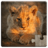 icon se.appfamily.puzzle.animalbabies.free 24.0