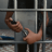 icon Escape Prison 3.42