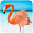icon The Flamingo 1.1.0