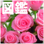 icon Plant Illustrated Reference Book