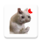 icon Stickers Cats Memes 2.3.0