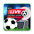 icon Football 1.1