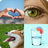 icon 4 Fotos 1 Palabra 10.20.7