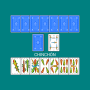 icon com.game.chinchon