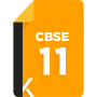 icon Class 11