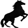 icon Black Horse