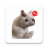 icon com.proWAStickerApps.catsmemes.memesdegatos 1.7.0