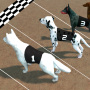 icon Dog Racing