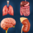 icon My Organs Anatomy 3.8