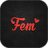 icon Fem 5.0.9