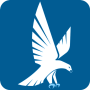 icon Falcon